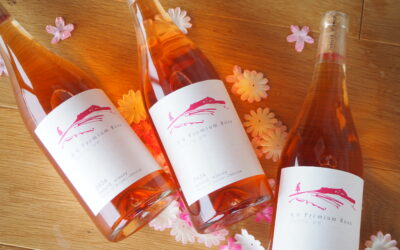 新商品のお知らせ